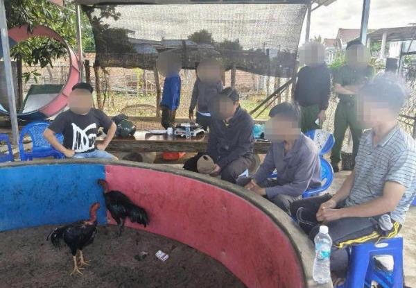 Triệt phá sới gà cá độ