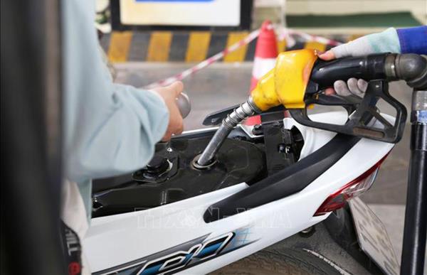 Việt Nam sẽ chính thức chuyển sang sử dụng xăng sinh học từ đầu tháng 6