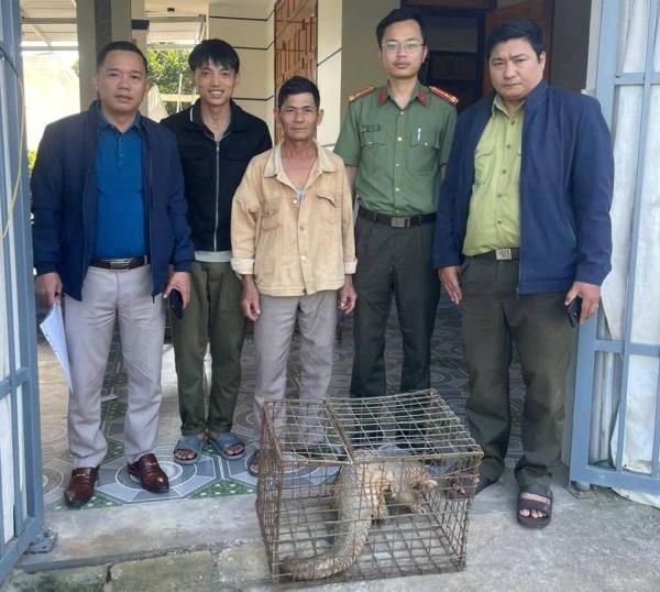 Xuyên sơn giáp lạc vào nhà dân