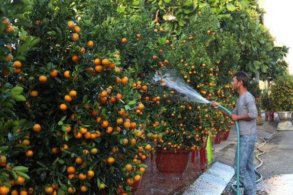 Nhộn nhịp vận chuyển hàng Tết ra đảo Lý Sơn