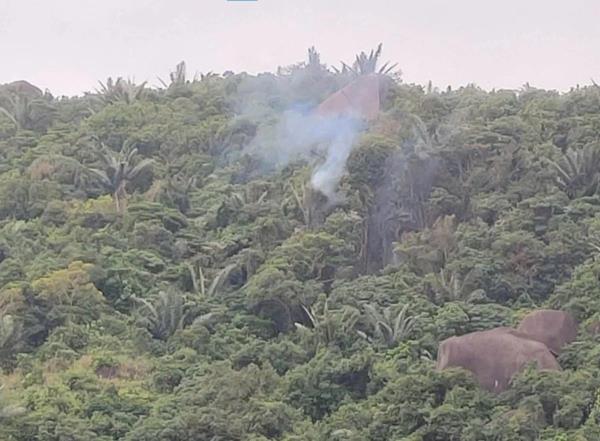 Máy bay huấn luyện gặp sự cố rơi trên núi, phi công thoát hiểm an toàn