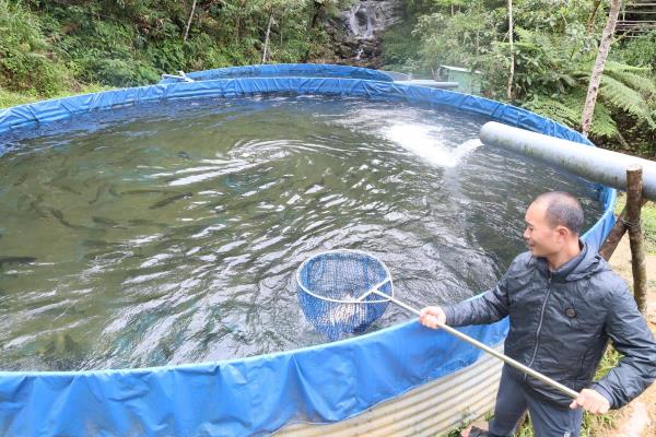 Cá hồi trên núi Ngọc Linh