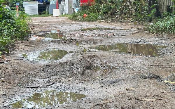 Lãng quên con đường nhỏ