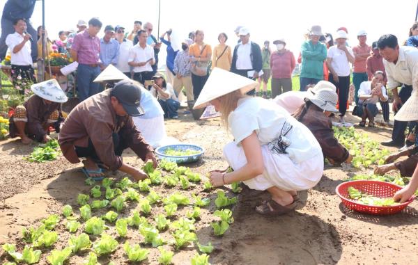 Khai mạc Lễ hội Cầu Bông làng rau Trà Quế năm Bính Ngọ 2026