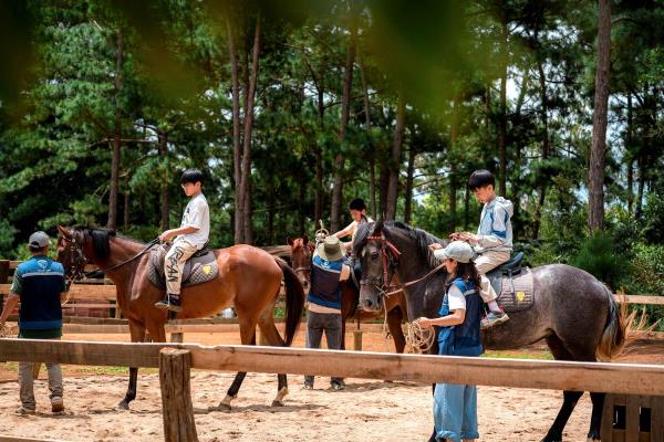 Lên Măng Đen nghe tiếng  vó ngựa giữa đại ngàn