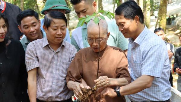 Gieo cơ hội khởi nghiệp từ sâm Ngọc Linh cho thanh niên vùng cao