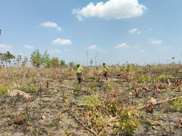 Khởi tố vụ án hình sự để điều tra hành vi hủy hoại rừng xảy ra tại xã Ia Pia