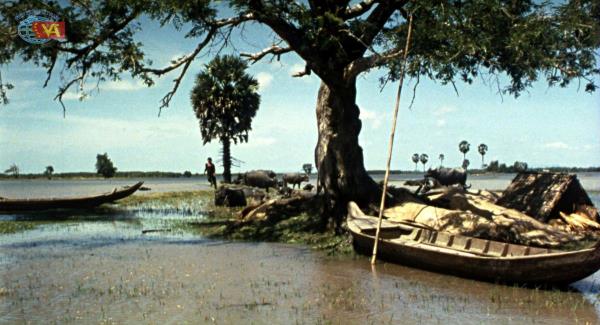 Diện mạo điện ảnh Việt Nam thời kỳ Đổi mới – Tôn vinh và kết nối di sản điện ảnh tại DANAFF IV