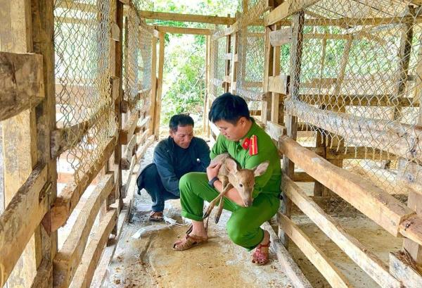 Công an xã Trà Tập hỗ trợ người dân phát triển kinh tế, xóa đói giảm nghèo