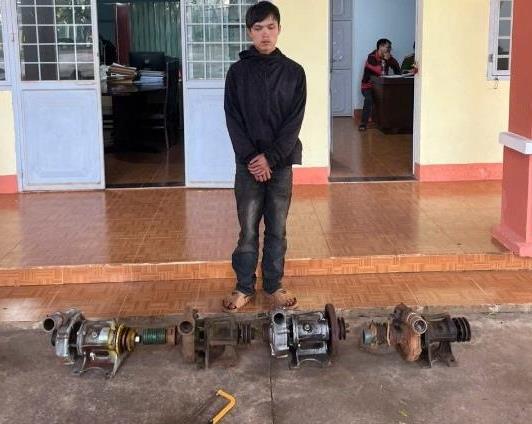 Đạo chích lên rẫy kiếm ăn