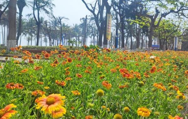 Xứng tầm du lịch Cửa Lò (BÀI 2: Xây dựng biểu tượng, định hình thương hiệu du lịch Cửa Lò)