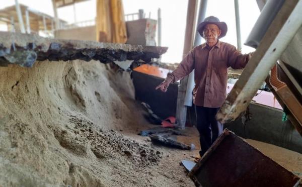 Sóng biển xâm thực mạnh khiến nhiều hộ dân ở Ninh Thuận sống trong cảnh bất an