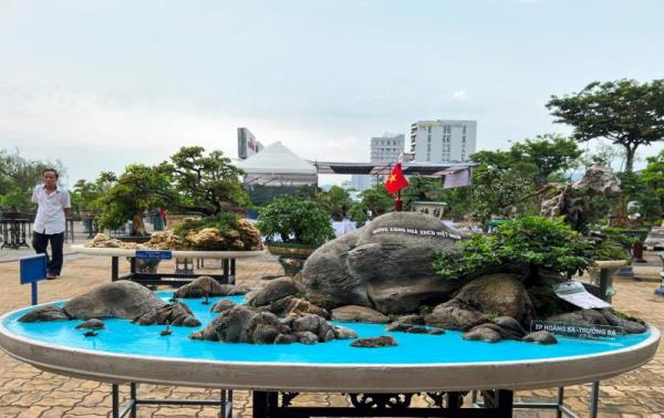 Người dân thích thú ngắm cây cảnh, hòn non bộ độc đáo ở Đà Nẵng