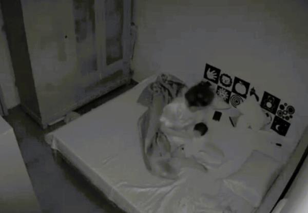 Hà Nội: Tạm giữ bảo mẫu nghi bạo hành bé sơ sinh