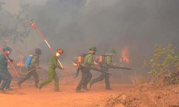Tăng cường phòng cháy, chữa cháy rừng và tìm kiếm cứu nạn