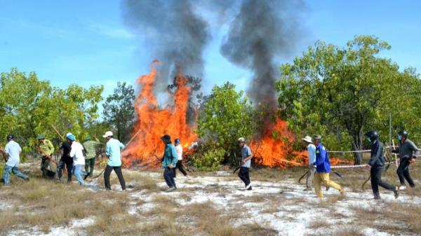 Cơ quan chức năng nói gì về việc đốt rừng phòng hộ để diễn tập PCCC?