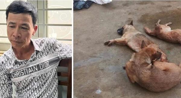 Cẩu tặc sa lưới