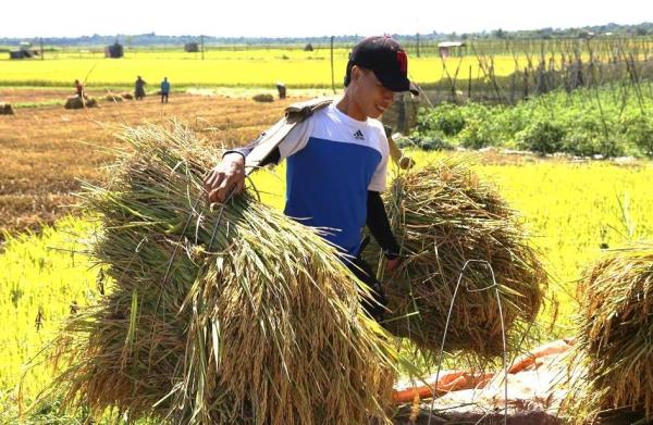 Hạnh phúc khi sống và lao động chân chính ngay tại quê hương