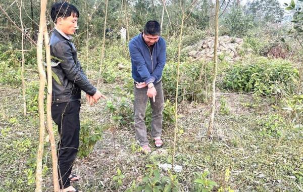 Thậm thụt trong nghĩa trang với ma