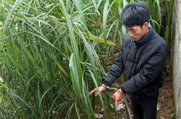 Không chịu hoàn lương