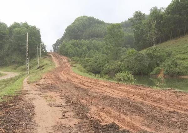 Đường cứu hộ... kêu cứu