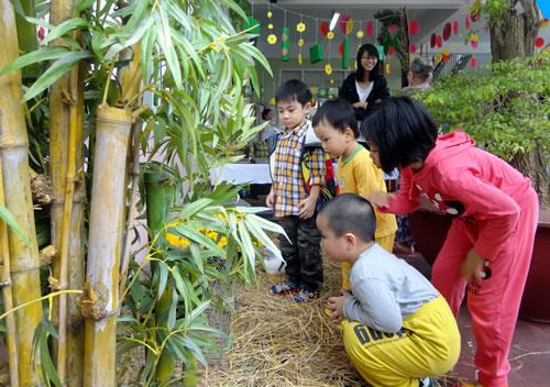 Trường mầm non ABC Đà Nẵng tổ chức Lễ hội mùa xuân