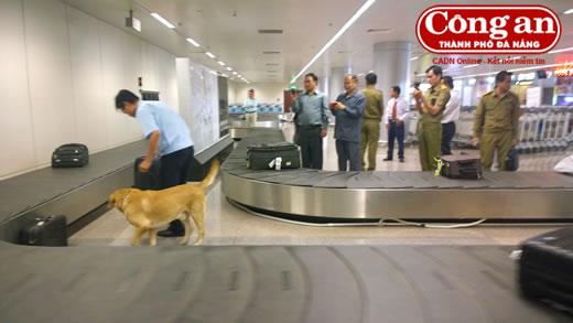 Chống buôn lậu qua đường hàng không