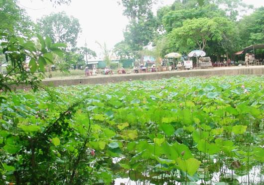 Một lần đến làng Sen