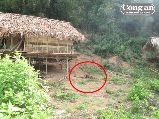 Khẩn trương điều tra vụ thảm án ở Cát Tả