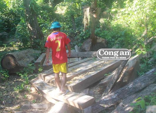 Sớm chấn chỉnh những lỗ hổng tại các BQL bảo vệ rừng