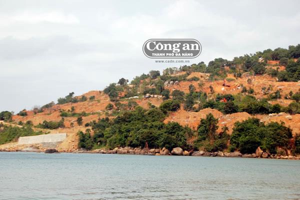 Rừng Sơn Trà bị cày xới