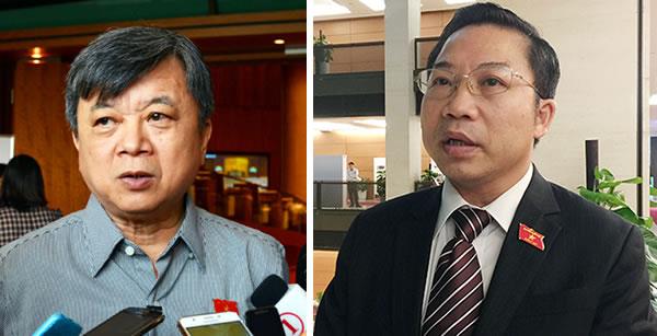 Đại biểu Quốc hội quan tâm bán đảo Sơn Trà