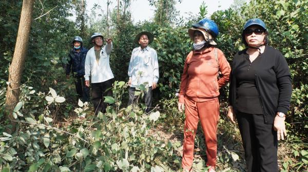 Chuyện chưa kể về Đại đội Độc lập cánh bắc Hòa Vang (Kỳ 1: Những chiến công ít được nhắc đến)