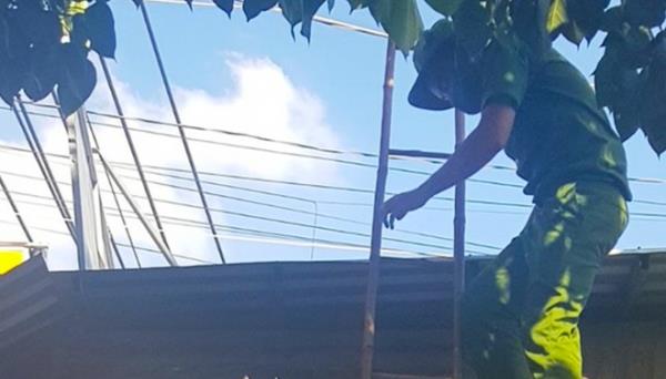 Dỡ mái tôn, đu dây khoắng sạch tiệm vàng rồi trốn ra Hà Nội