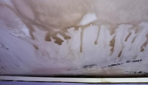 Chung cư An Trung 2: Cư dân khổ sở vì nước thấm dột  từ nhà vệ sinh của nhau