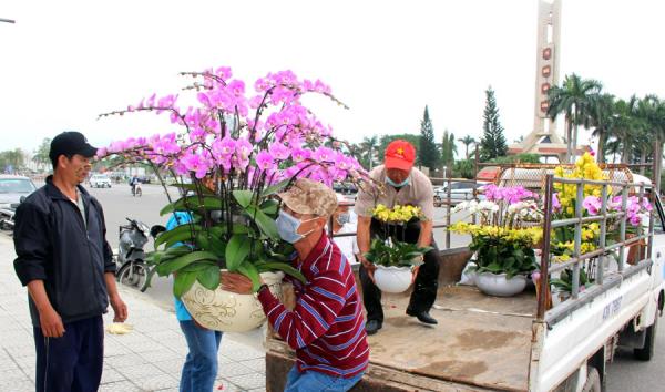 Đi xem chợ hoa xuân