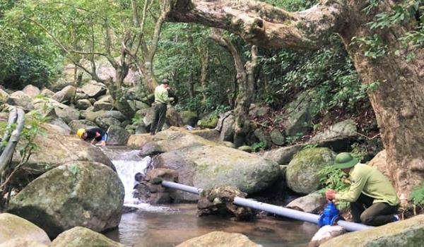 Đà Nẵng cảnh báo khả năng xảy ra cháy rừng diện rộng và lan tràn nhanh