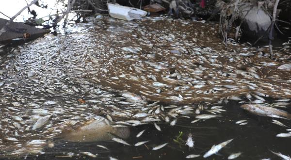 Khu công nghiệp Tam Thăng bức tử suối Ba La