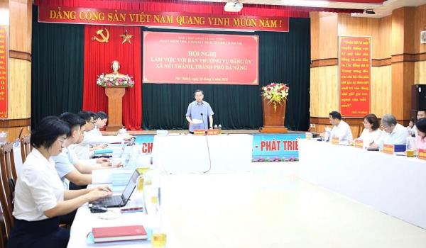 Phấn đấu đưa xã Núi Thành trở thành đầu tàu khu vực phía Nam thành phố