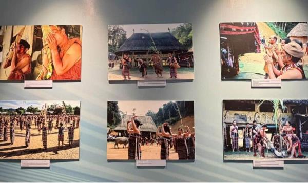 Triển lãm thực vật trong đời sống, văn hóa Cơ Tu