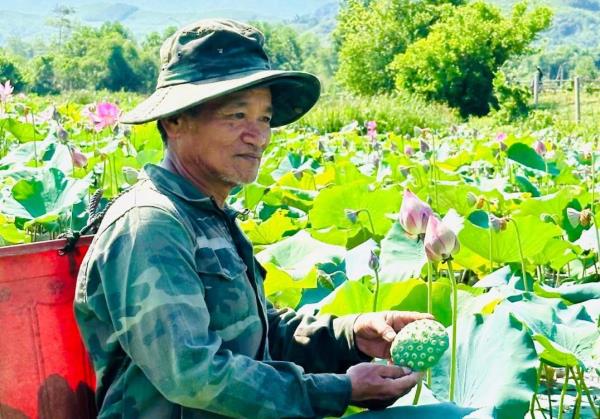 Khai thác tiềm năng, hỗ trợ sinh kế vùng núi