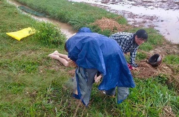 Đang gieo mạ thì bị sét đánh