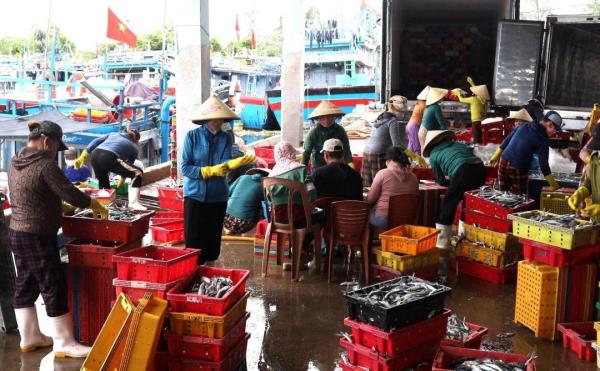 Quảng Ngãi tăng cường quản lý, nâng hiệu quả chống khai thác IUU