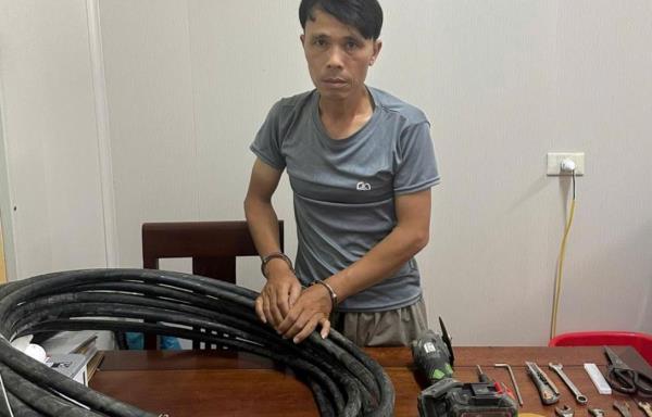 Đạo chích chuyên cắt dây cáp điện sa lưới