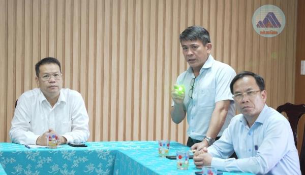 Đề xuất các dự án trồng sâm và dược liệu công nghệ cao quy mô lớn