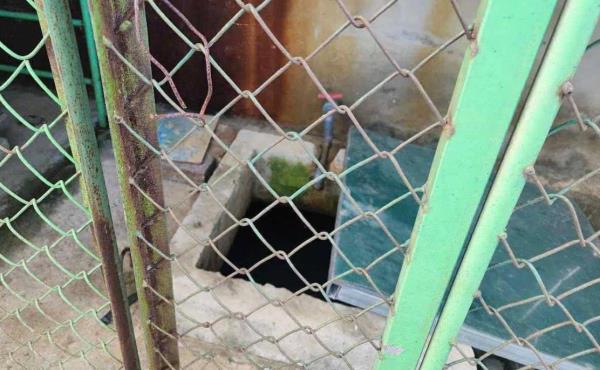 Bé trai 5 tuổi tử vong trong bể chứa nước ở trường Mầm non