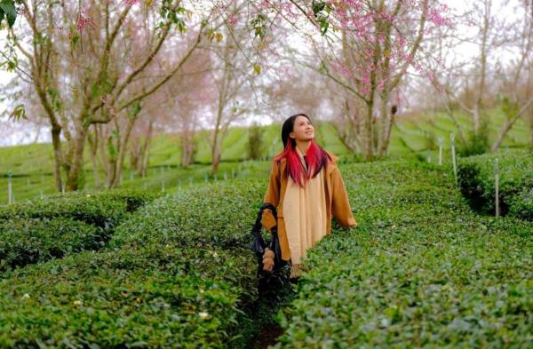 Các địa phương miền Trung bội thu khách du lịch dịp Tết dương lịch