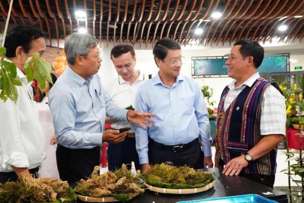 Nhiều hoạt động phong phú tại Lễ hội Sâm Ngọc Linh và Dược liệu quốc tế Đà Nẵng 2026