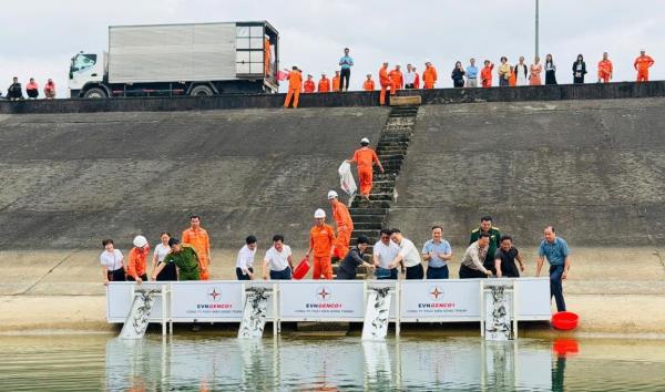 Thả cá giống tạo sinh kế bền vững cho người dân khu vực lòng hồ Thủy điện Sông Tranh 2