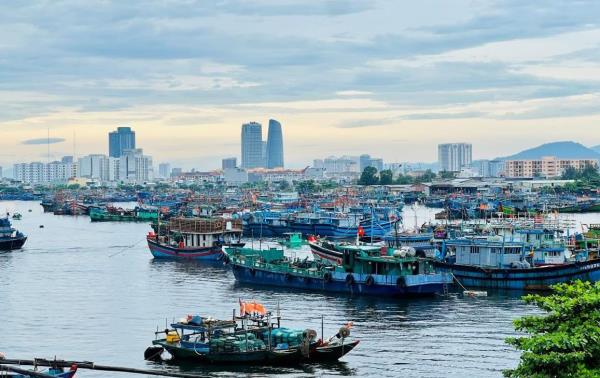 Chung sức hành động vì nghề cá bền vững